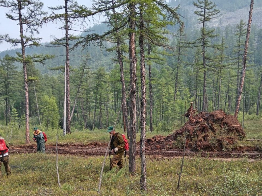 Борьба с лесными пожарами в Забайкалье продолжается
